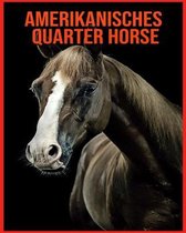 Amerikanisches Quarter Horse