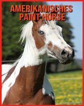 Amerikanisches Paint Horse