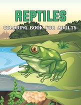 Reptiles Coloring Book For Adults