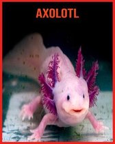 Axolotl