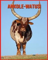 Ankole-Watusi