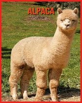 Alpaca