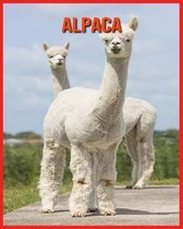 Alpaca