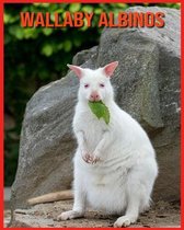 Wallaby Albinos
