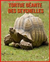 Tortue Geante des Seychelles