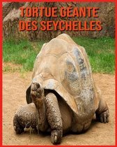 Tortue Geante des Seychelles