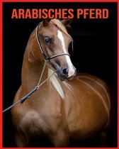 Arabisches Pferd