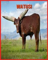 Watusi