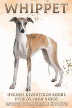 Whippet