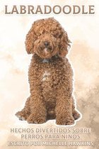 Labradoodle