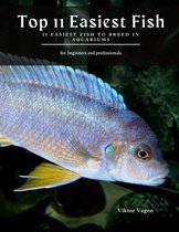 Top 11 Easiest Fish