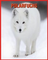 Polarfuchs