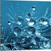 Dibond - Waterbubbels  - 80x80cm Foto op Aluminium (Met Ophangsysteem)