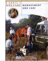 A Horse's Welfare - Management and Care