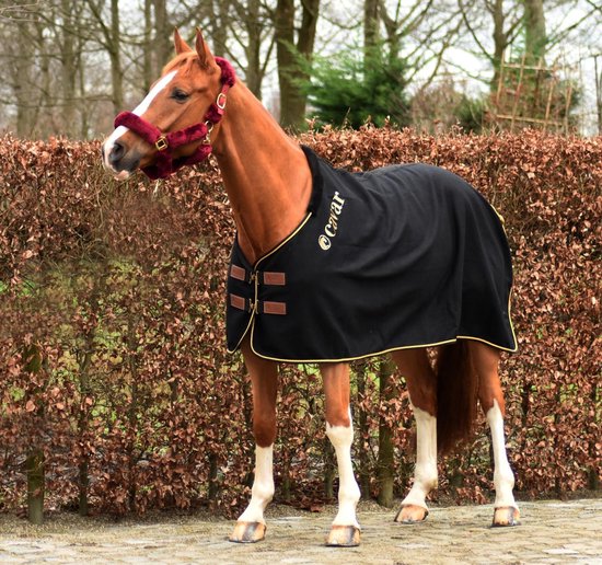 Cavar Wollen Deken Paard 400 gram Zwart 195cm- paardendeken wol -  uitrijdeken -... | bol.com