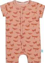 Charlie Choe Pyjama Butterfly Short - Maat 68