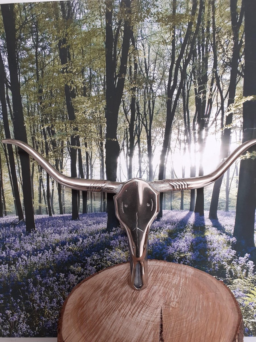Indianen beeld Buffel schedel voor aan de muur van aluminium van Slijkhuis 30x48x10 cm