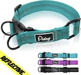 Reflecterende Halsband Nylon Duitse Herder Halsbanden Training Huisdier Kraag Voor Kleine Medium Grote Grote Honden Pitbull Terrier Pug - Turkoois M (31-42) cm