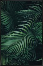 JUNIQE - Poster in kunststof lijst Gevederde Palm -40x60 /Groen