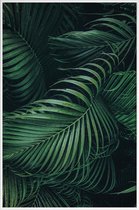 JUNIQE - Poster in kunststof lijst Gevederde Palm -60x90 /Groen