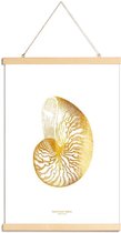 JUNIQE - Posterhanger Nautilus Shell gouden -30x45 /Goud & Wit