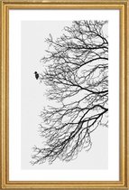 JUNIQE - Poster met houten lijst Winter Bird -60x90 /Grijs & Wit