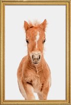 JUNIQE - Poster met houten lijst Foal -60x90 /Bruin