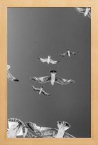 JUNIQE - Poster in houten lijst Soaring Birds -30x45 /Grijs & Wit