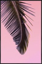 JUNIQE - Poster in kunststof lijst Tropicana Pink by @BineArnold