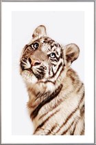 JUNIQE - Poster met kunststof lijst King in the Making -20x30 /Geel &