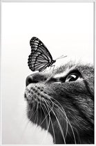 JUNIQE - Poster in kunststof lijst Butterfly Kiss -30x45 /Grijs