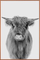 JUNIQE - Poster met kunststof lijst Young Highland Cow Classic -60x90