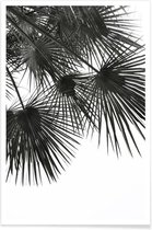 JUNIQE - Poster Endless Summer - Wind -13x18 /Grijs & Wit