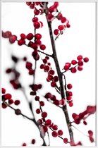 JUNIQE - Poster in kunststof lijst Red Berries 1 -30x45 /Rood & Wit