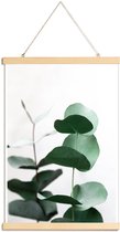 JUNIQE - Posterhanger Eucalyptus 5 -60x90 /Groen & Wit