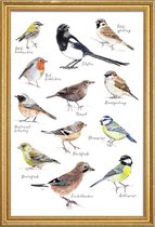 JUNIQE - Poster met houten lijst Vogel illustratie -13x18 /Kleurrijk