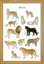 JUNIQE - Poster met houten lijst Wilde katten illustratie -13x18