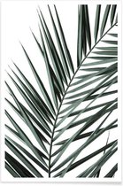 JUNIQE - Poster Phoenix -13x18 /Groen & Wit