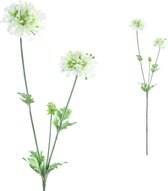 PTMD Garden Flower Scabiosa Kunsttak - 35 x 15 x 68 cm - Wit