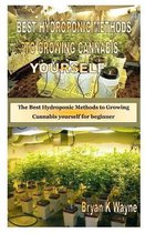Best Hydroponic Methods to Growing Cannabis Yourself