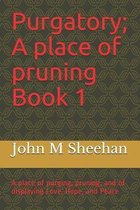 Purgatory; A place of pruning Book 1