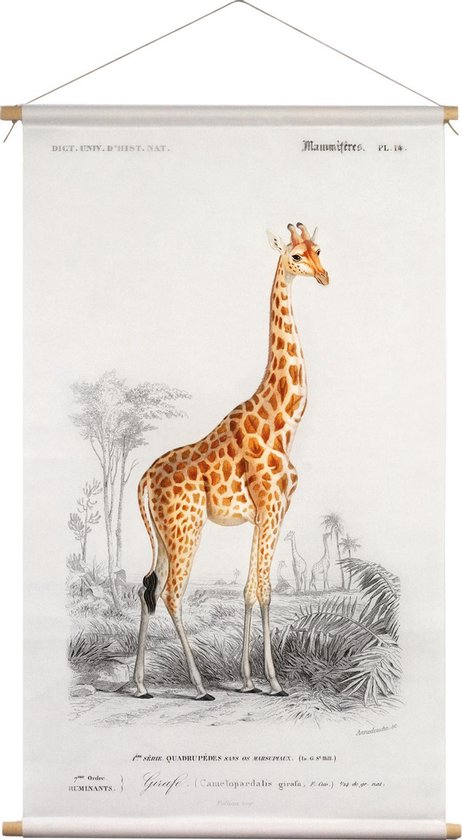 Wanddoek Giraf Charles D'Orbigny 65x45cm - textiel poster met leren koord