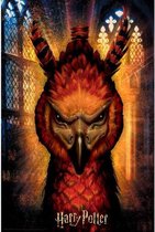 HARRY POTTER - Fawkes - Lenticular Puzzle 3D 300P '46x31cm'