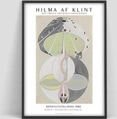 Abstract Hilma AF Klint Poster 3 - 20x25cm Canvas - Multi-color