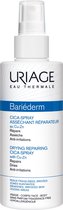Uriage Bariederm Drying Repairing Cica Spray 100 Ml