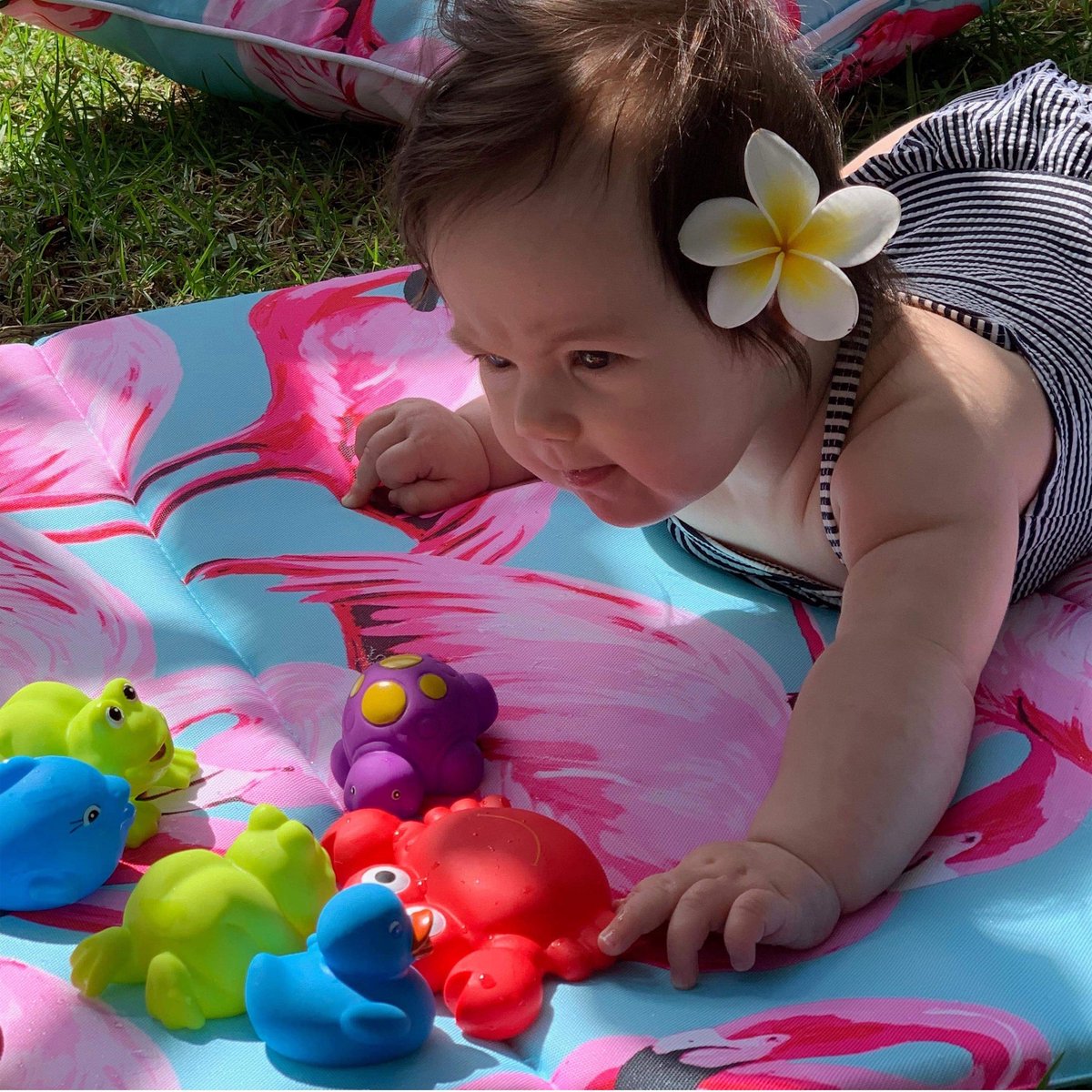 Playgro Drijvende Badspeeltjes - Badspeelgoed - Badgeschenkset - Schimmelvrij - Zonder gaatje - waterspeelgoed baby - Waterspeelgoed Peuters - 7 stuks - BPA vrij — afbeelding 6