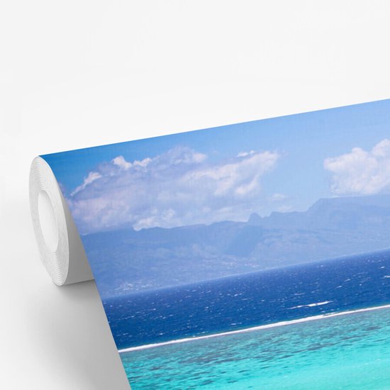 Papier peint photo en vinyle - Palmiers sur la côte de Moorea en Polynésie française largeur 360 cm x hauteur 240 cm - Tirage photo sur papier peint (disponible en 7 tailles)