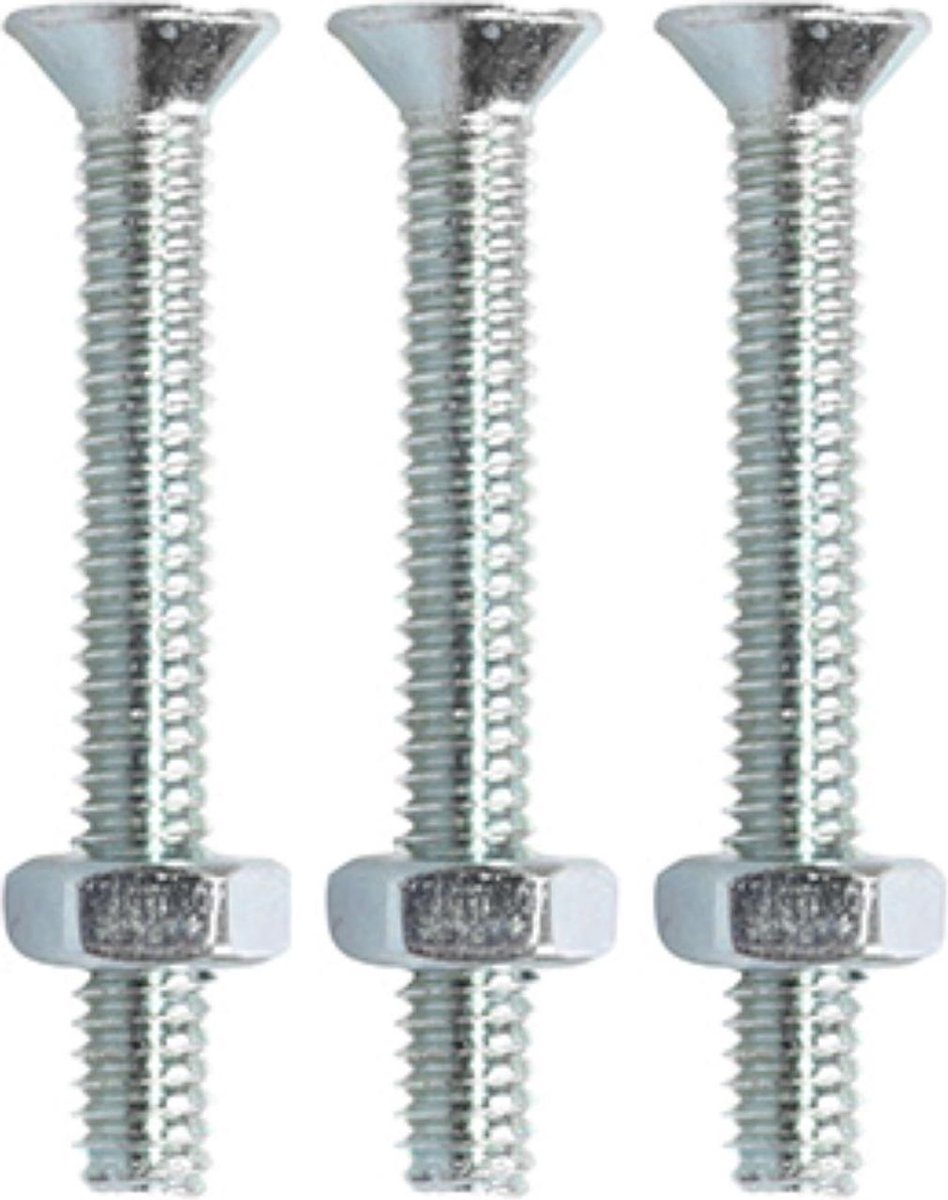 Metaalschroef met moer RVS - PZ3 platkop - M6 x 50 mm (5 stuks)