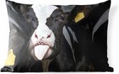 Sierkussen Friese koe voor buiten - Close up van een schattig kalfje van de Friese koe - 50x30 cm - rechthoekig weerbestendig tuinkussen / tuinmeubelkussen van polyester