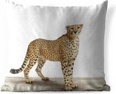 Sierkussen Animalprintshop voor buiten - Jachtluipaard dierenprint - 60x60 cm - vierkant weerbestendig tuinkussen / tuinmeubelkussen van polyester